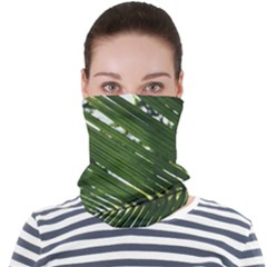 Relaxing Palms Face Seamless Bandana (adult) by LW323