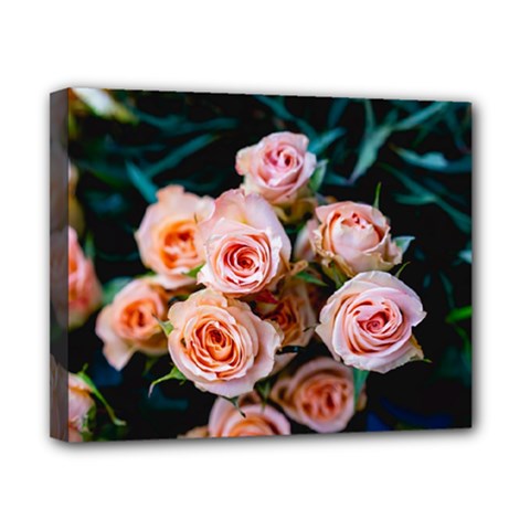 Sweet Roses Canvas 10  X 8  (stretched) by LW323