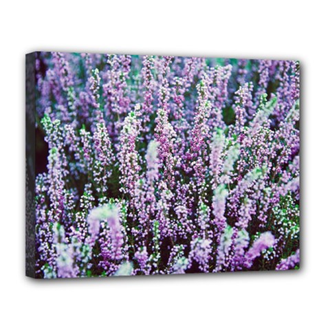 Lavender Love Canvas 14  X 11  (stretched) by LW323