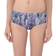 Lavender Love Mid-waist Bikini Bottoms by LW323