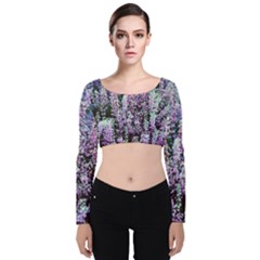 Lavender Love Velvet Long Sleeve Crop Top by LW323