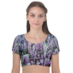 Lavender Love Velvet Short Sleeve Crop Top  by LW323