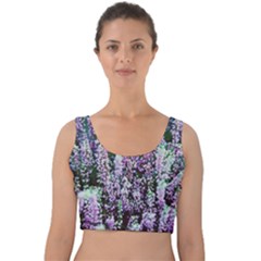 Lavender Love Velvet Crop Top by LW323