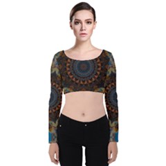 Victory Velvet Long Sleeve Crop Top by LW323