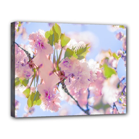 Bloom Canvas 14  X 11  (stretched) by LW323