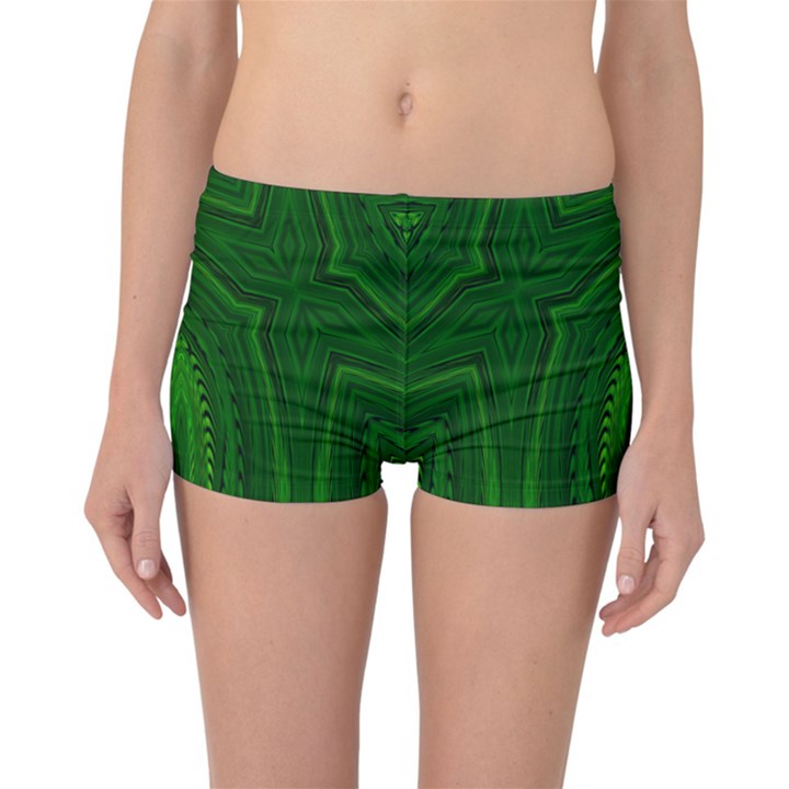 Freshspring3 Reversible Boyleg Bikini Bottoms