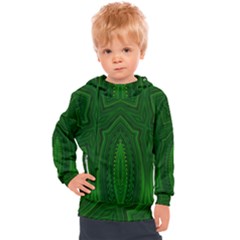 Freshspring3 Kids  Hooded Pullover by LW323