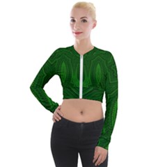 Freshspring3 Long Sleeve Cropped Velvet Jacket by LW323