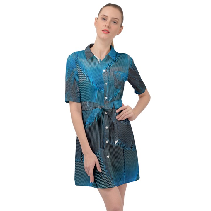 Feathery Blue Belted Shirt Dress