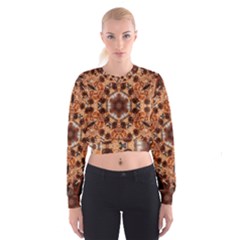 Majesty Cropped Sweatshirt by LW323