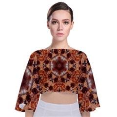 Majesty Tie Back Butterfly Sleeve Chiffon Top by LW323