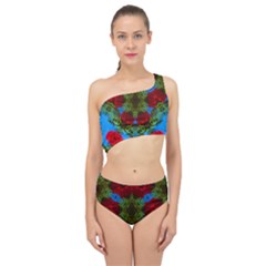 Rosette Spliced Up Two Piece Swimsuit by LW323