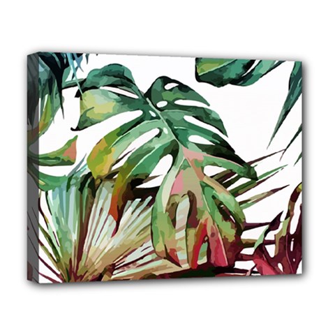 Tropical Leaves Deluxe Canvas 20  X 16  (stretched) by goljakoff