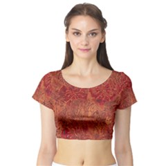 Animalprintfnl1 Short Sleeve Crop Top