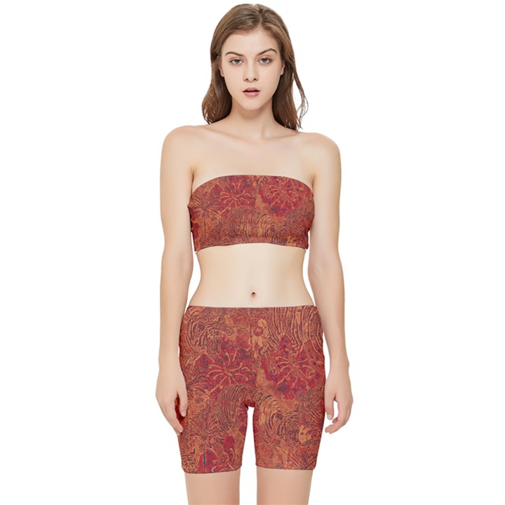 Animalprintfnl1 Stretch Shorts and Tube Top Set