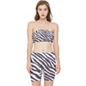 Zebra Stretch Shorts and Tube Top Set View1