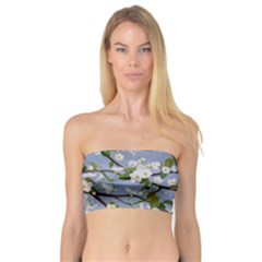 Pear Branch With Flowers Bandeau Top by SychEva