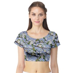 Pear Branch With Flowers Short Sleeve Crop Top by SychEva