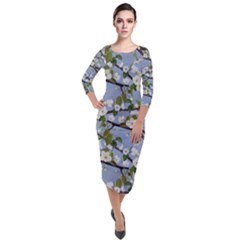 Pear Branch With Flowers Quarter Sleeve Midi Velour Bodycon Dress by SychEva