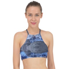 Bluemountains Racer Front Bikini Top by LW323