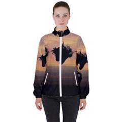 Evening Horses Women s High Neck Windbreaker by LW323