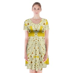 Sunshine Colors On Flowers In Peace Short Sleeve V-neck Flare Dress by pepitasart