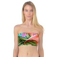 Exotisme Bandeau Top by SoLoJu