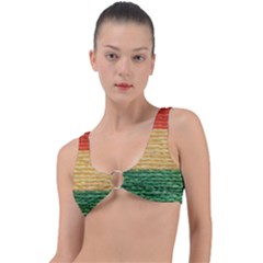 Braid-3232366 960 720 Ring Detail Bikini Top by SoLoJu