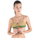 Braid-3232366 960 720 Tie Up Cut Bikini Top View1