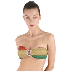 Braid-3232366 960 720 Twist Bandeau Bikini Top by SoLoJu