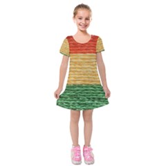 Couleurs Emblématiques Kids  Short Sleeve Velvet Dress by SoLoJu