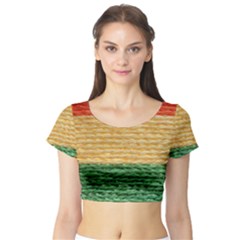 Couleurs Emblématiques Short Sleeve Crop Top by SoLoJu