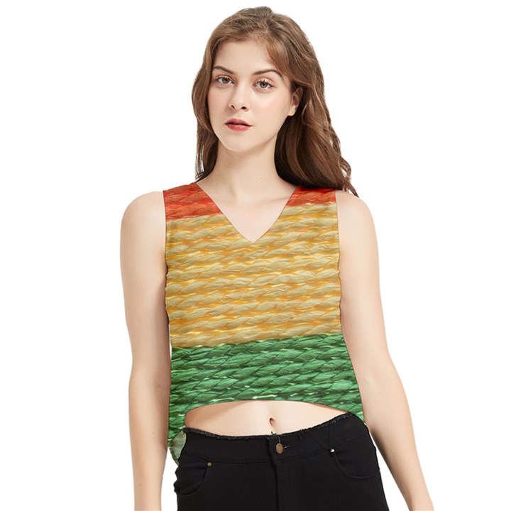 Couleurs Emblématiques V-Neck Cropped Tank Top