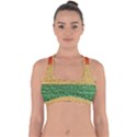 Couleurs Emblématiques Cross Back Hipster Bikini Top  View1