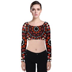 Kaleid Geometric Metal Color Velvet Long Sleeve Crop Top by byali