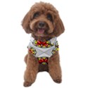 Mandala Modern Forme Geometrique Dog Sweater View1