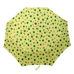 Watermelon Folding Umbrellas