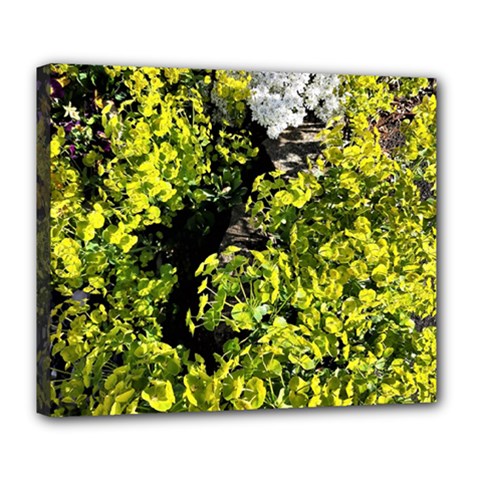 Acid Green Patterns Deluxe Canvas 24  X 20  (stretched) by kaleidomarblingart