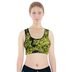 Acid Green Patterns Sports Bra With Pocket