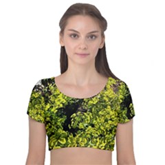 Acid Green Patterns Velvet Short Sleeve Crop Top  by kaleidomarblingart