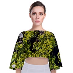 Acid Green Patterns Tie Back Butterfly Sleeve Chiffon Top by kaleidomarblingart