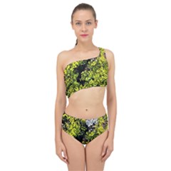 Acid Green Patterns Spliced Up Two Piece Swimsuit by kaleidomarblingart