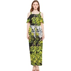 Acid Green Patterns Draped Sleeveless Chiffon Jumpsuit