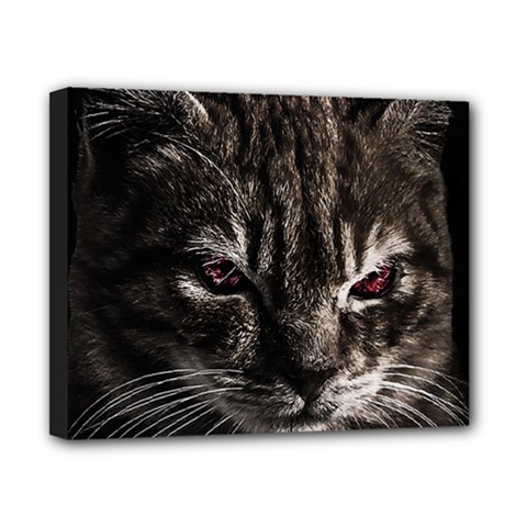 Creepy Kitten Portrait Photo Illustration Canvas 10  X 8  (stretched) by dflcprintsclothing