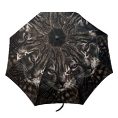 Creepy Kitten Portrait Photo Illustration Folding Umbrellas by dflcprintsclothing