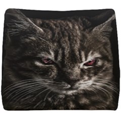 Creepy Kitten Portrait Photo Illustration Seat Cushion by dflcprintsclothing