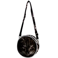 Creepy Kitten Portrait Photo Illustration Crossbody Circle Bag by dflcprintsclothing