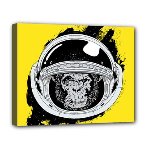 Spacemonkey Deluxe Canvas 20  X 16  (stretched) by goljakoff