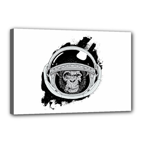 Spacemonkey Canvas 18  X 12  (stretched) by goljakoff