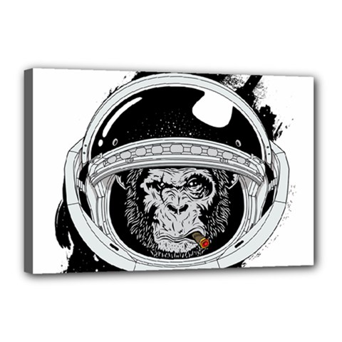 Spacemonkey Canvas 18  X 12  (stretched) by goljakoff